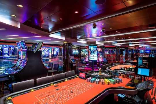 MSC Cruises MSC Euribia(کابین داخلی)